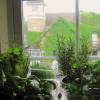 2012-05-05.Saturday (10)